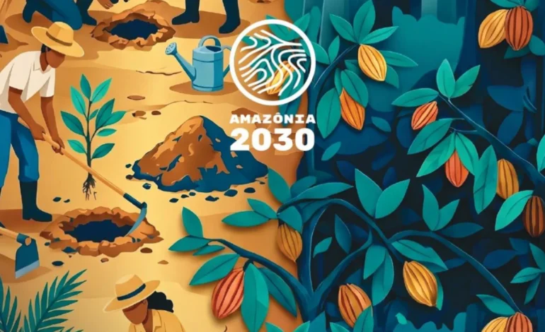 Falta de emprego e renda impulsiona desmatamento na Amazônia, indica estudo – ClimaInfo