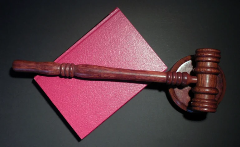 litigancia-climatica-segue-crescendo,-mas-com-novos-focos,-mostra-estudo-–-climainfo