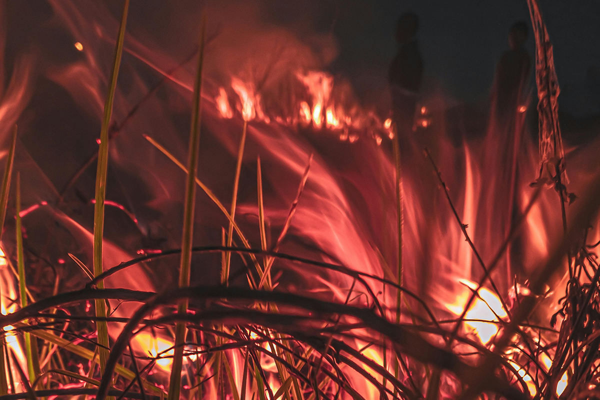 incendios-florestais-devastam-areas-proximas-a-paris-em-nova-onda-de-calor-–-climainfo