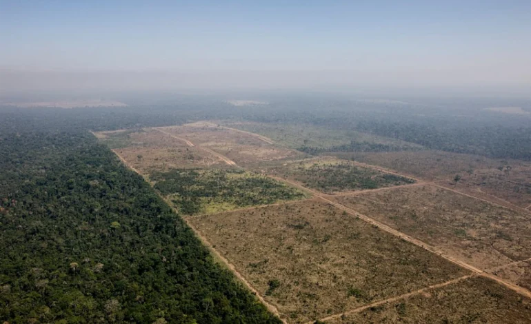 senado-reduz-floresta-do-jamanxim-e-abre-caminho-para-mais-desmatamento-no-para-–-climainfo