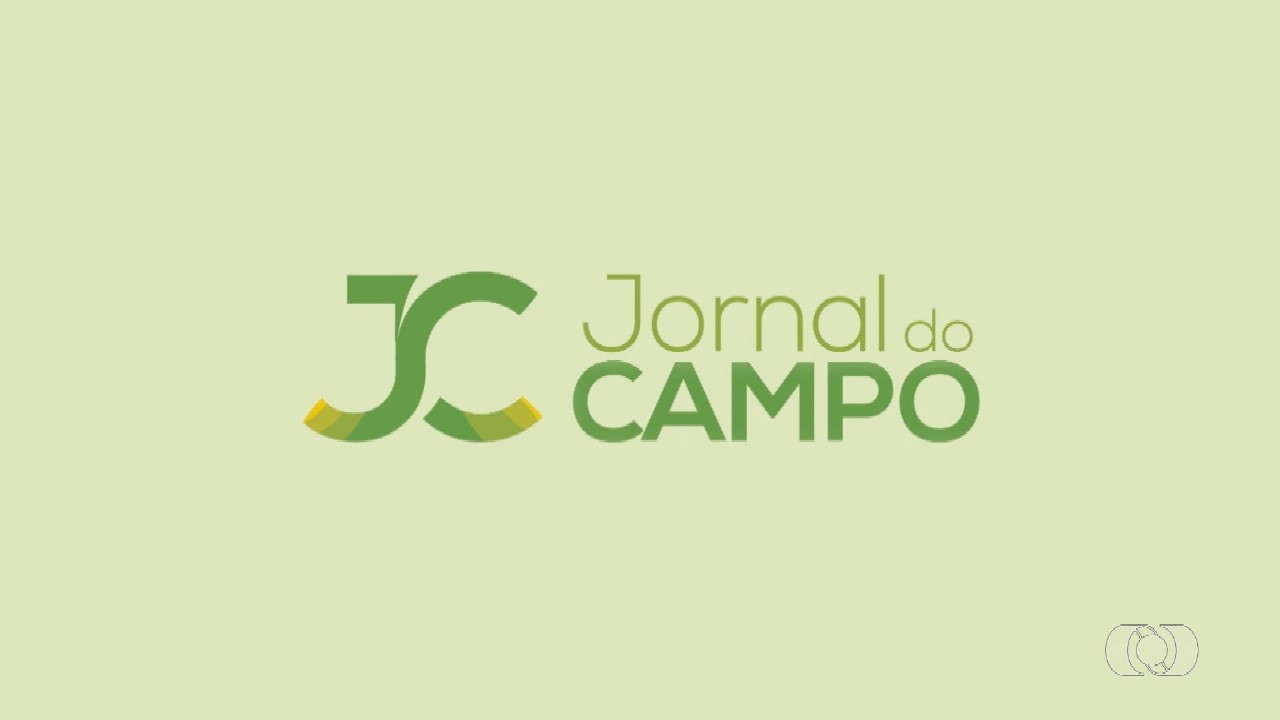videos:-jornal-do-campo-–-to-de-domingo,-19-de-julho-de-2026