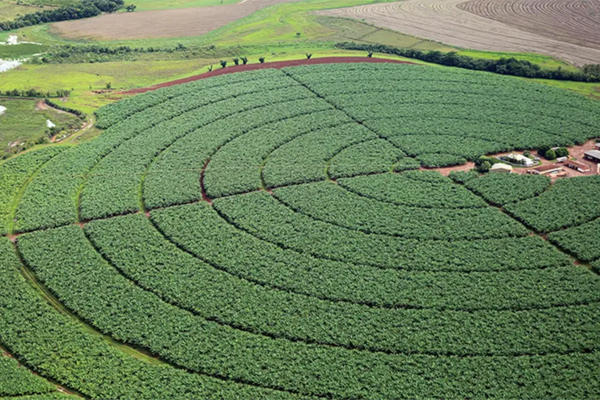 fim-da-moratoria-da-soja-pode-aumentar-em-17%-desmatamento-na-amazonia-–-climainfo