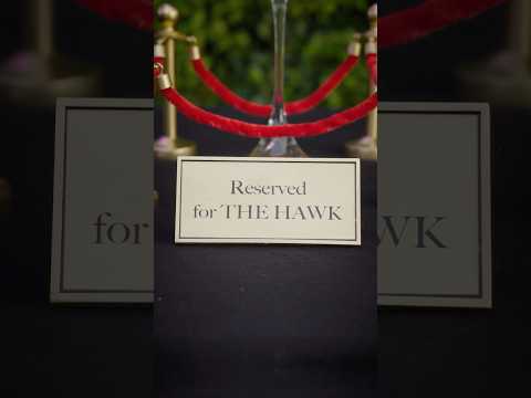 there-can-only-be-one-hawk.-the-hawk-is-now-playing-on-netflix!