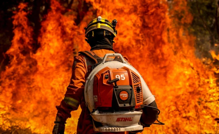 mapbiomas:-area-queimada-cai-em-2025-e-interrompe-sequencia-de-altas-–-climainfo