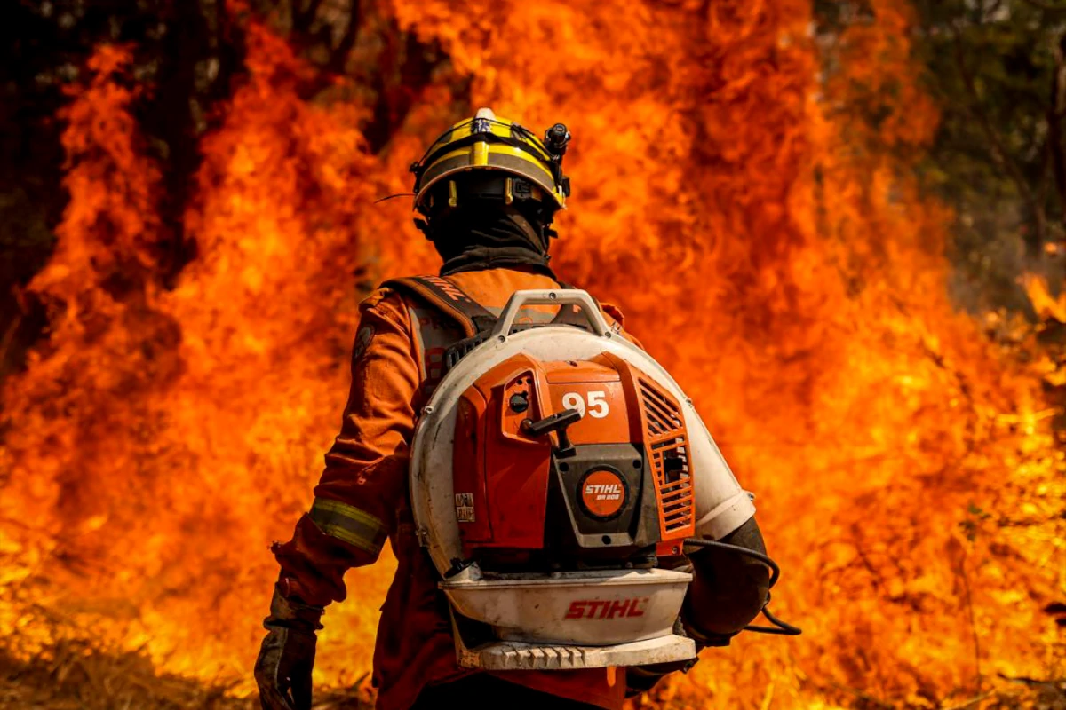 mapbiomas:-area-queimada-cai-em-2025-e-interrompe-sequencia-de-altas-–-climainfo