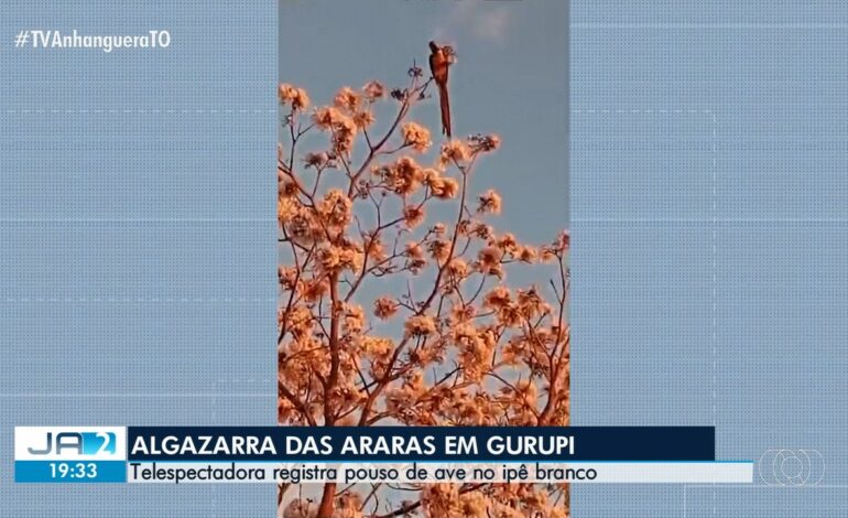 videos:-jornal-anhanguera-2a-edicao-to-de-terca-feira,-21-de-julho-de-2026