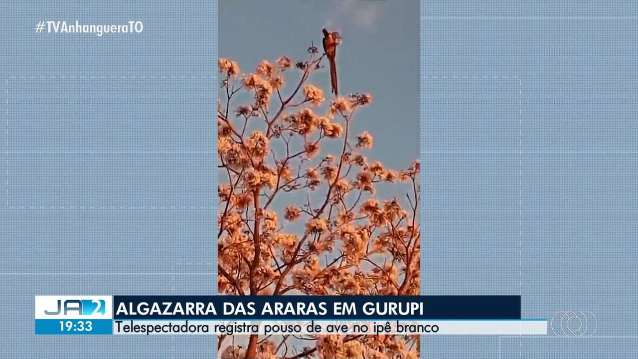 videos:-jornal-anhanguera-2a-edicao-to-de-terca-feira,-21-de-julho-de-2026