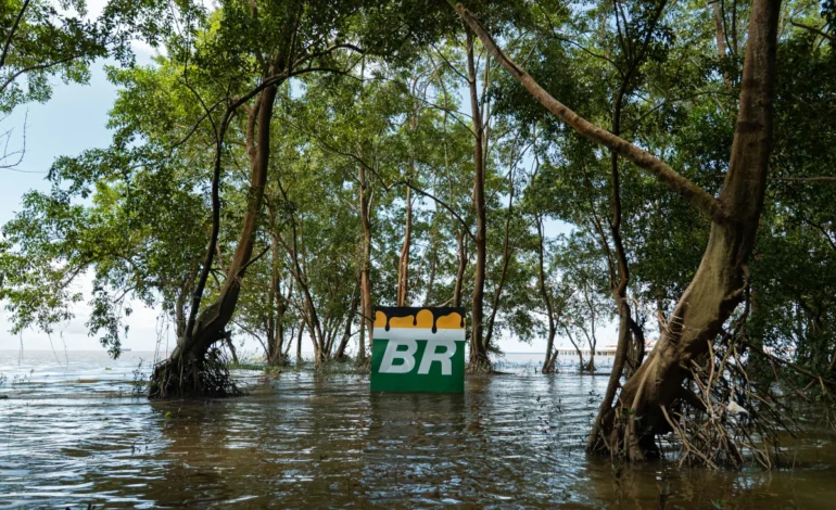 Estudos reforçam riscos da exploração de petróleo na Foz do Amazonas – ClimaInfo