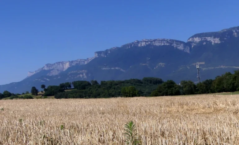 Mudanças climáticas estão turbinando secas na Europa, mostra estudo – ClimaInfo