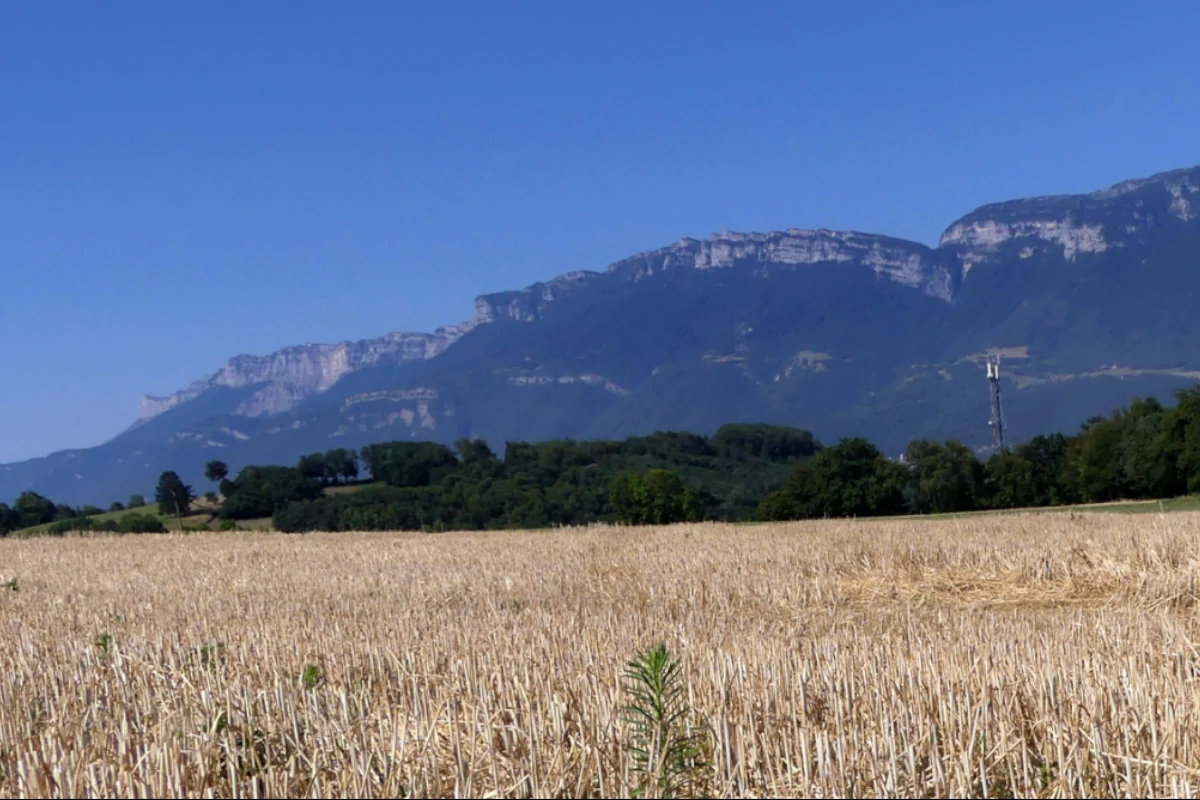 mudancas-climaticas-estao-turbinando-secas-na-europa,-mostra-estudo-–-climainfo