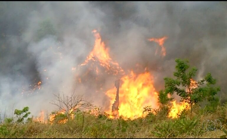 tocantins-proibe-uso-de-fogo-ate-outubro-apos-alerta-de-risco-critico-|-g1