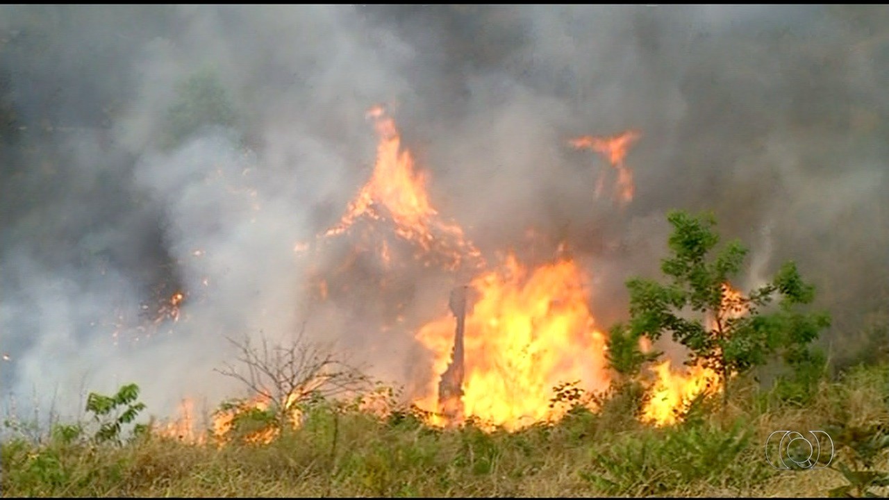tocantins-proibe-uso-de-fogo-ate-outubro-apos-alerta-de-risco-critico-|-g1