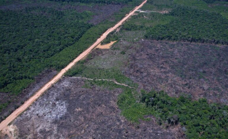 Eco Invest Brasil promove quinto leilão para financiar inovação