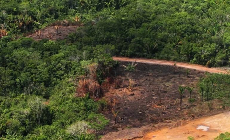 mpf-mira-cvm-contra-flexibilizacao-de-reporte-de-sustentabilidade-de-empresas-–-climainfo