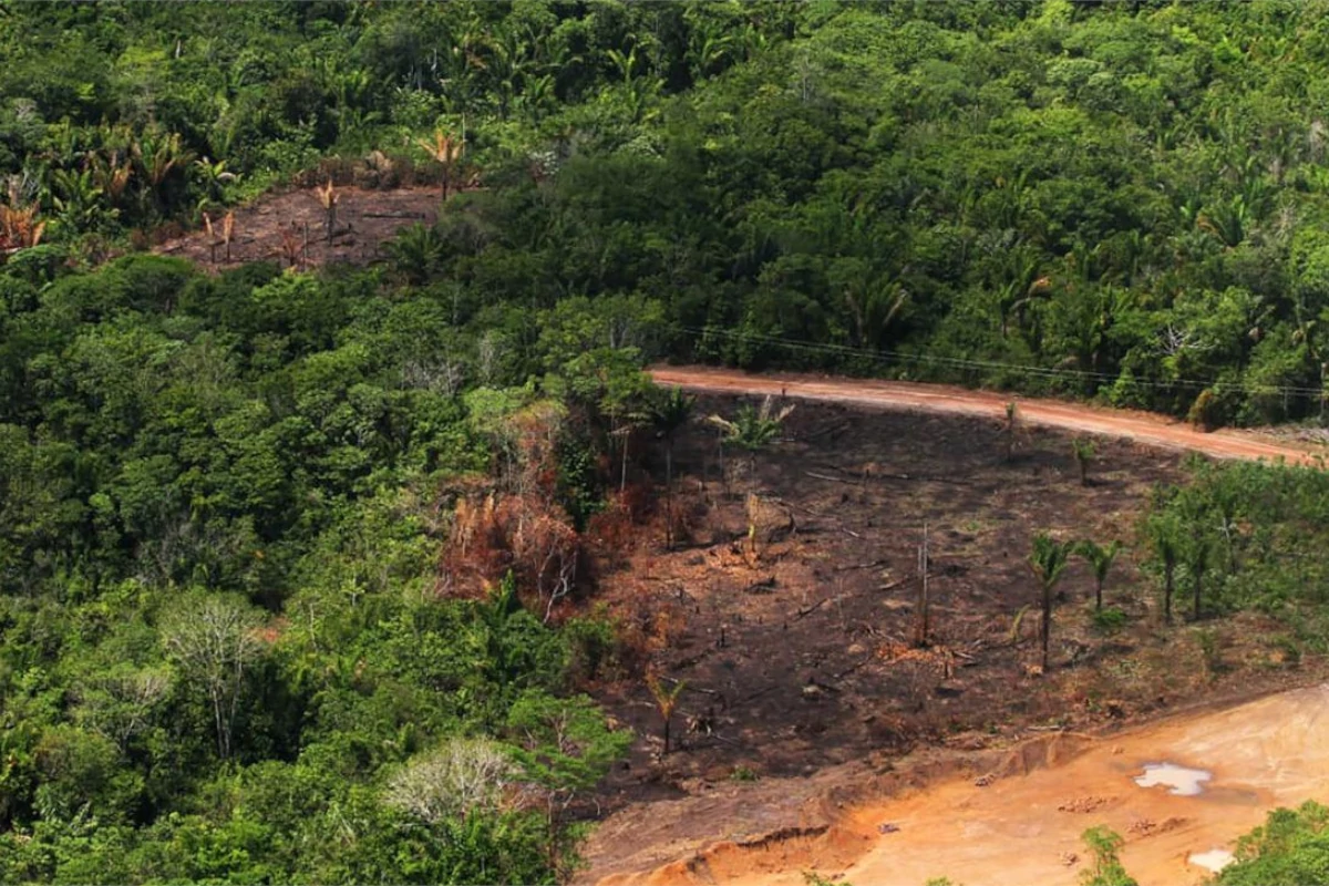 mpf-mira-cvm-contra-flexibilizacao-de-reporte-de-sustentabilidade-de-empresas-–-climainfo