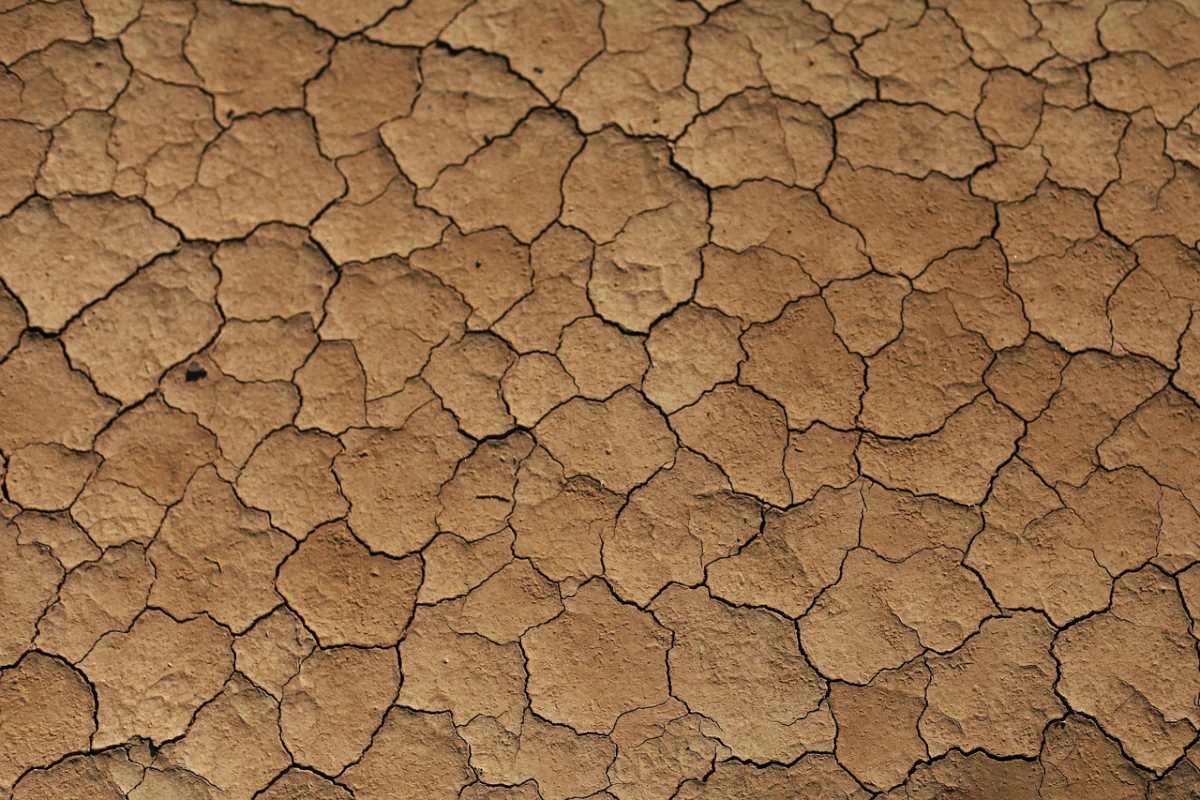 organizacao-meteorologica-mundial-preve-intensificacao-de-el-nino-a-partir-de-agosto-–-climainfo