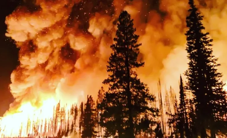 Mudanças climáticas dobraram chance de incêndios florestais devastadores no Canadá – ClimaInfo