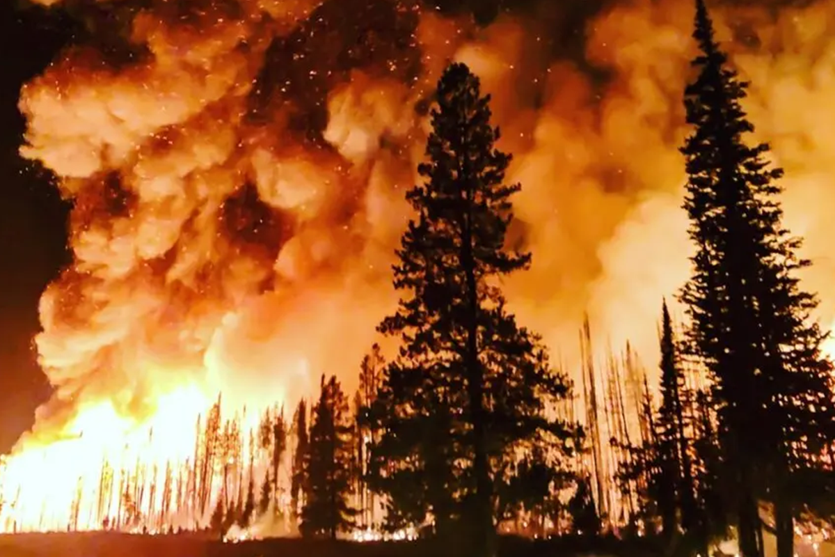 Mudanças climáticas dobraram chance de incêndios florestais devastadores no Canadá – ClimaInfo