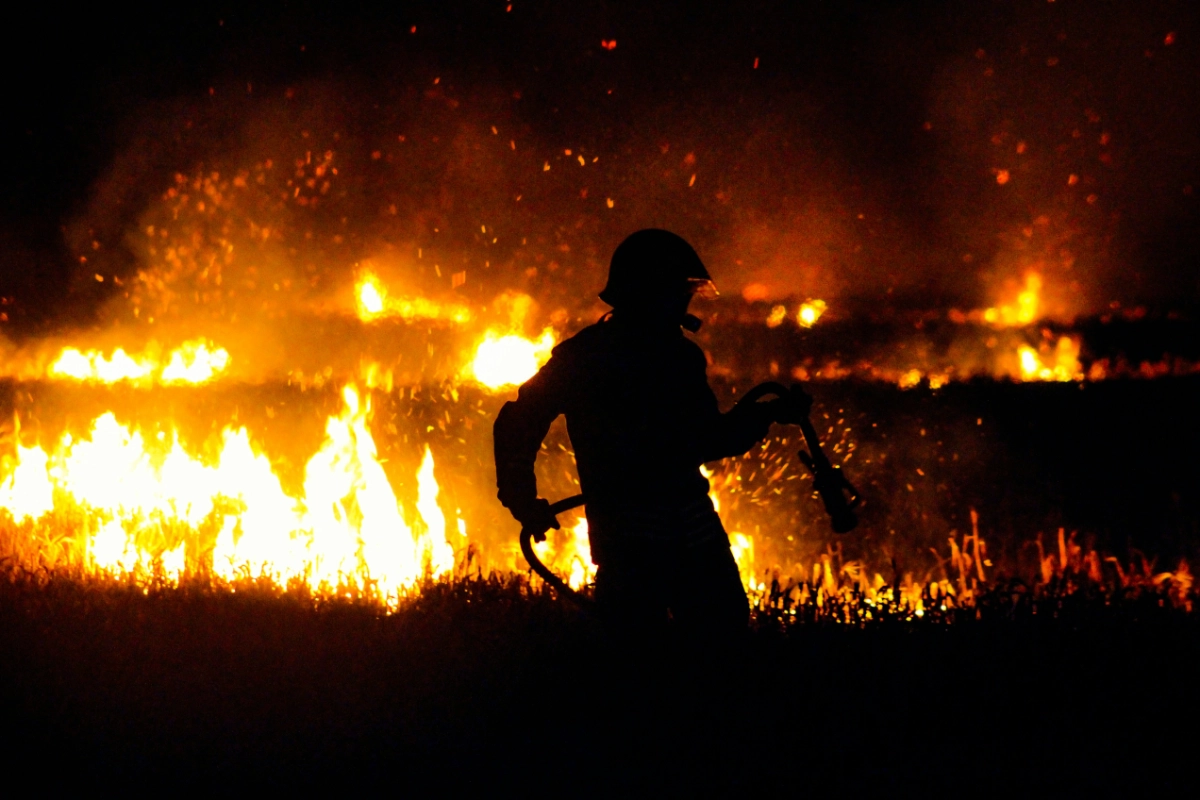 No Canadá, incêndios florestais sem precedentes atingem a Colúmbia Britânica – ClimaInfo