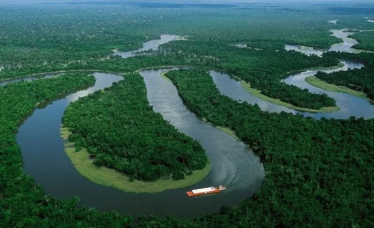 avanco-do-agro-reduz-vegetacao-nativa-do-brasil,-aponta-mapbiomas-–-climainfo