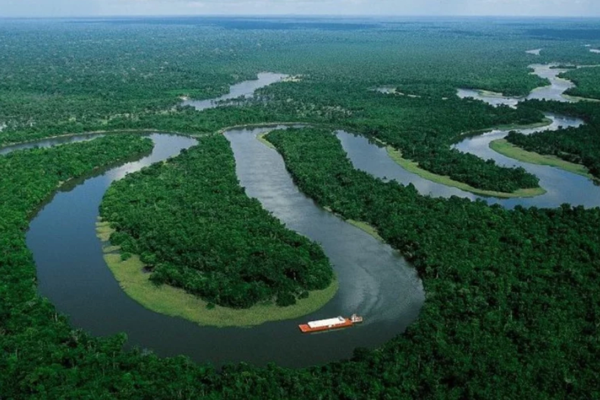 avanco-do-agro-reduz-vegetacao-nativa-do-brasil,-aponta-mapbiomas-–-climainfo