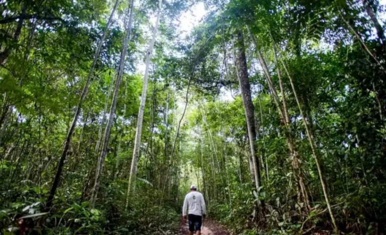 “conselhao”-cobra-avaliacao-de-investimentos-do-fundo-clima-–-climainfo