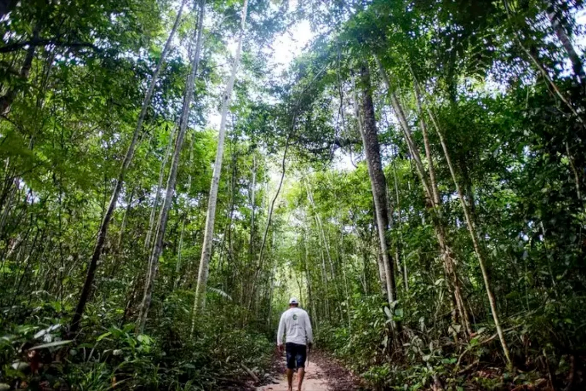 “conselhao”-cobra-avaliacao-de-investimentos-do-fundo-clima-–-climainfo