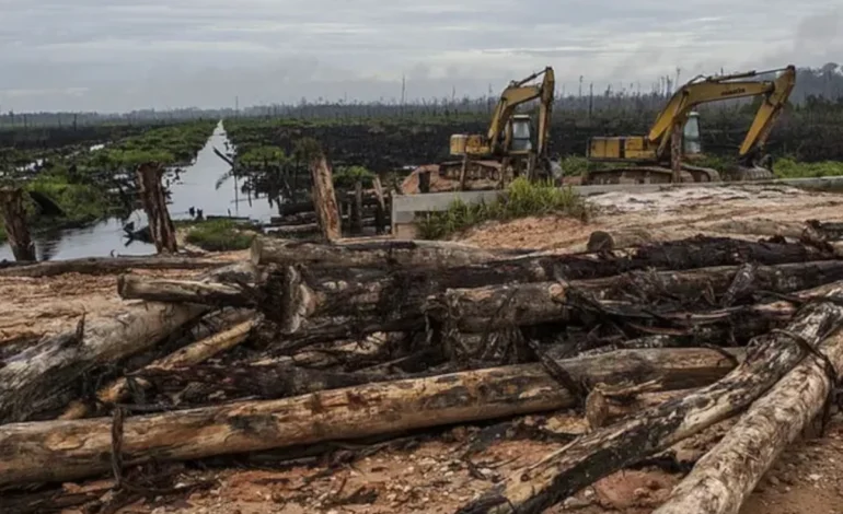 enquanto-cai-no-brasil,-desmatamento-amazonico-explode-na-bolivia-–-climainfo