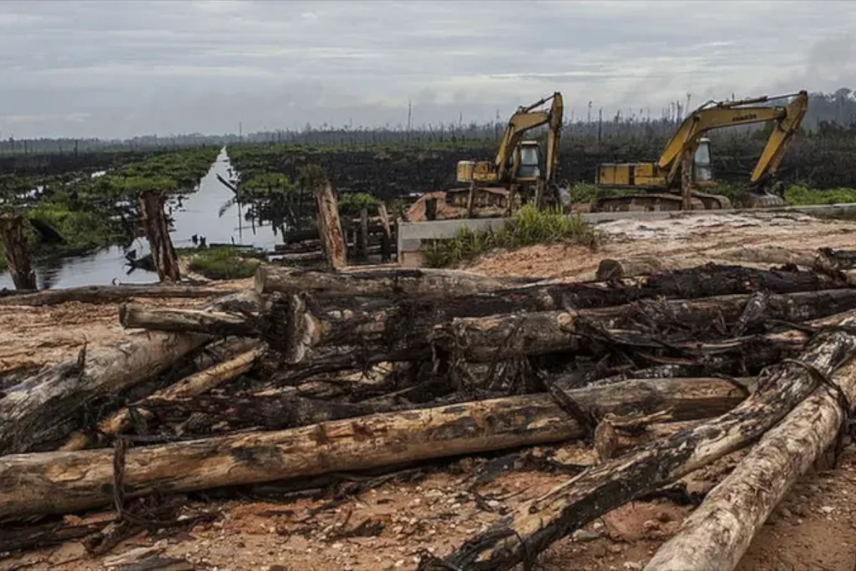 enquanto-cai-no-brasil,-desmatamento-amazonico-explode-na-bolivia-–-climainfo