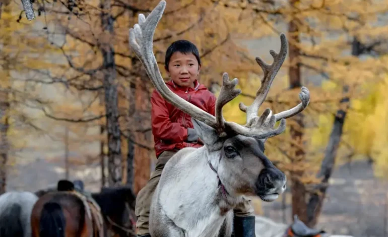 cop17-da-desertificacao-comeca-na-mongolia-com-foco-em-solo-e-seca-–-climainfo