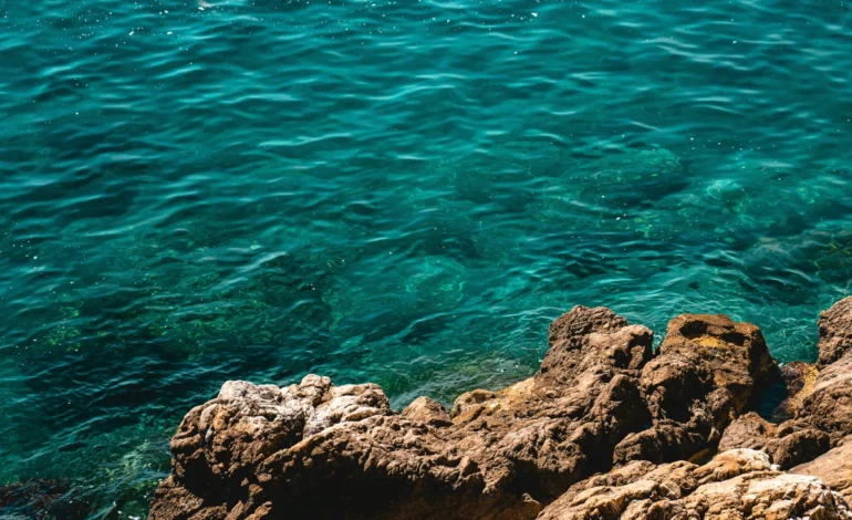 Oceanos na Europa estão até 6°C mais quentes devido às mudanças climáticas – ClimaInfo