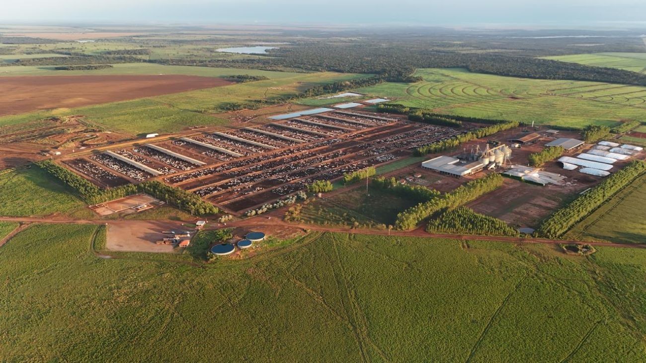 fazendas-de-confinamento-tem-capacidade-para-65-mil-animais-|-g1