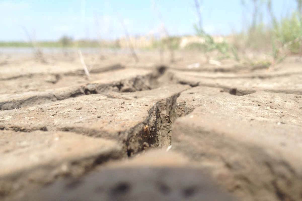secas-no-sudeste-ficarao-mais-longas-e-severas,-mostra-estudo-–-climainfo