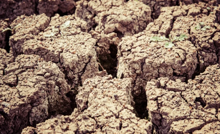 cop17-da-desertificacao-entra-na-reta-final-tentando-destravar-financiamento-–-climainfo