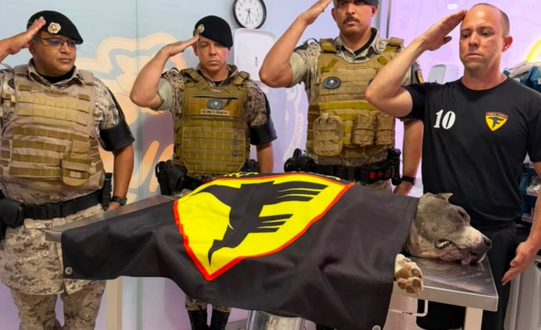 cao-policial-aposentado-morre-e-recebe-homenagem-de-militares-no-to-|-g1