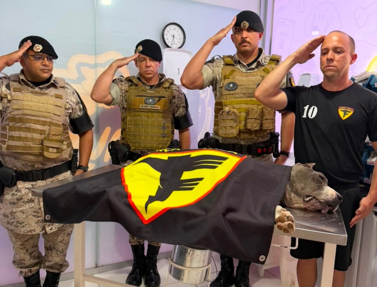 Cão policial aposentado morre e recebe homenagem de militares no TO | G1