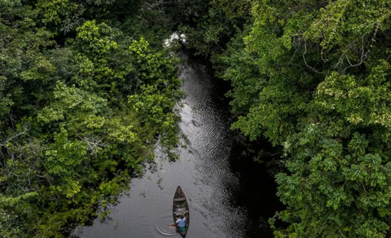 cenarios-e-custos-da-transicao-ecologica-no-brasil-–-climainfo