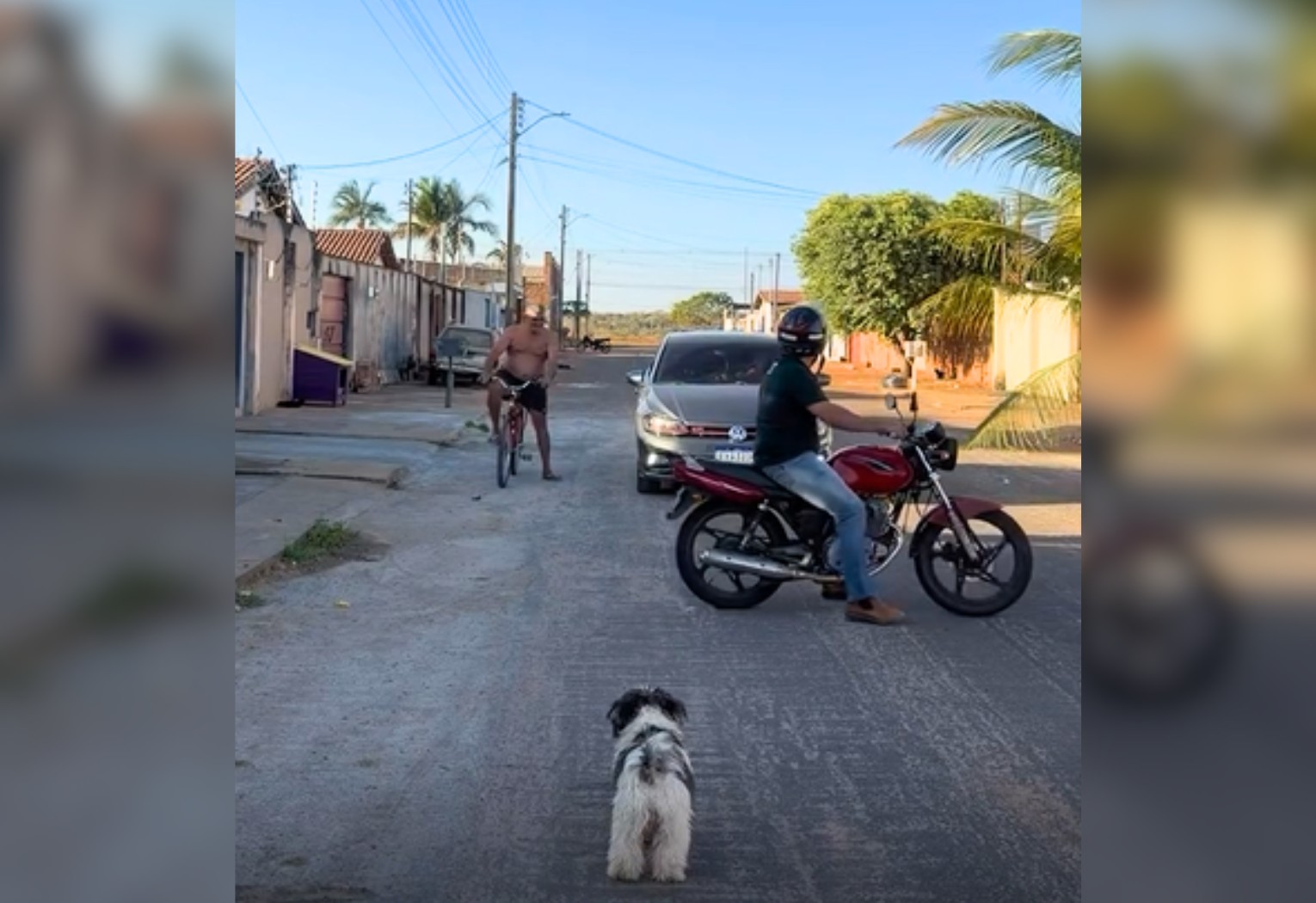 influenciador-faz-manobra-para-estacionar-moto-e-para-o-transito-no-to-|-g1