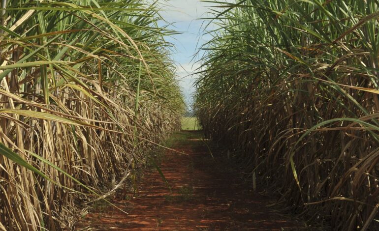 conselho-eleva-limite-de-remuneracao-do-eco-invest-brasil