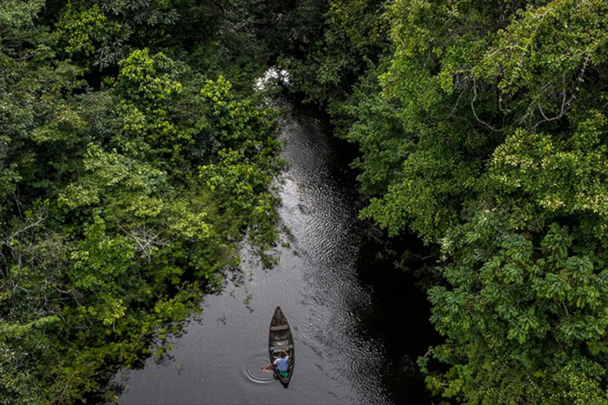 Investimento na transição ecológica é menor que custo da inação climática no Brasil – ClimaInfo