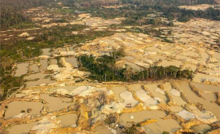 mpf-pede-condenacao-de-ex-servidores-da-funai-por-propina-na-ti-yanomami-–-climainfo