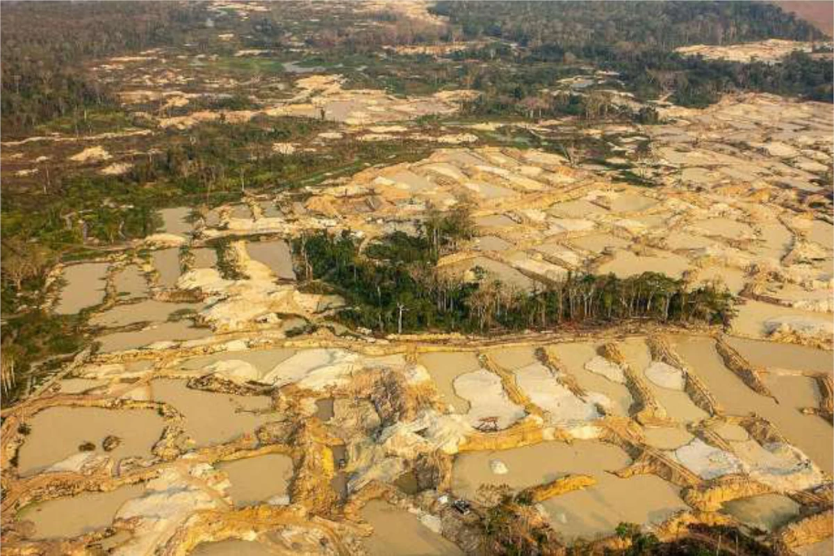 MPF pede condenação de ex-servidores da FUNAI por propina na TI Yanomami – ClimaInfo