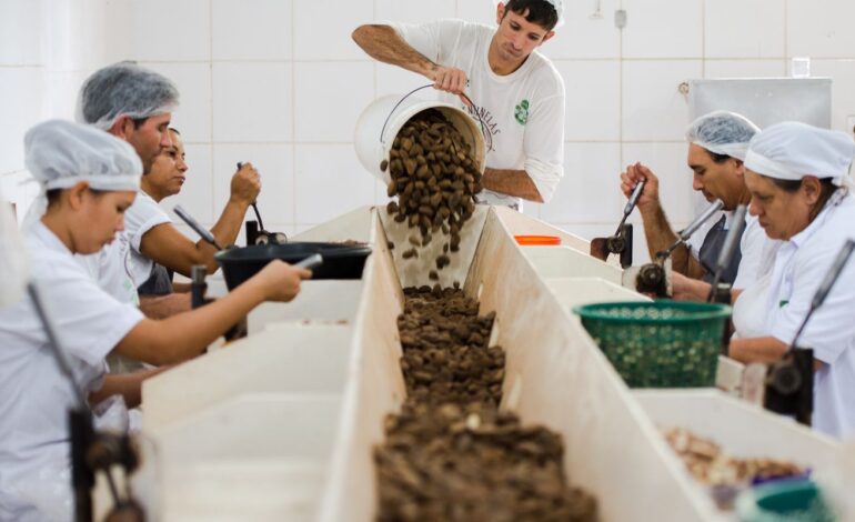 Consulta sobre bens sustentáveis no acordo Mercosul–UE acaba na quarta