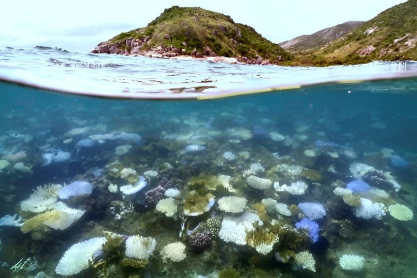 mudancas-climaticas-estao-intensificando-o-el-nino-–-climainfo