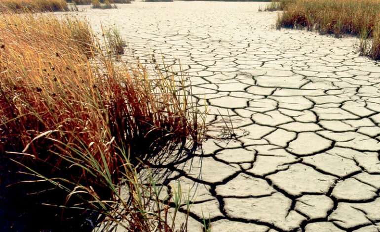 COP17 da Desertificação termina sem acordo global sobre secas – ClimaInfo