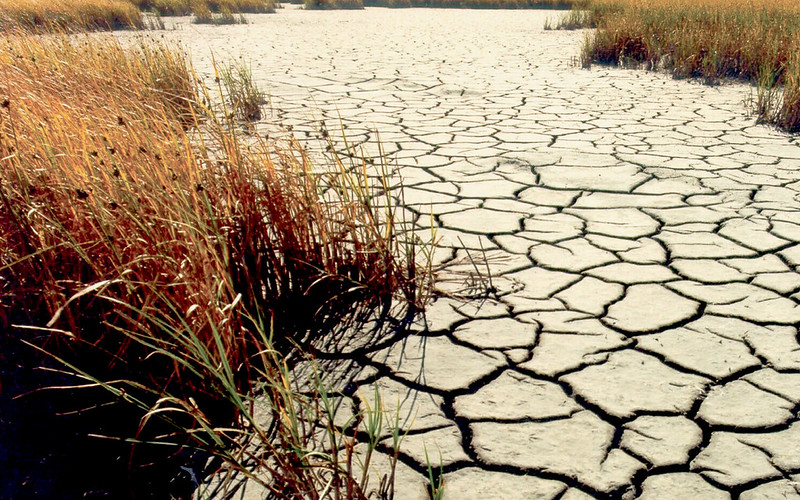 cop17-da-desertificacao-termina-sem-acordo-global-sobre-secas-–-climainfo