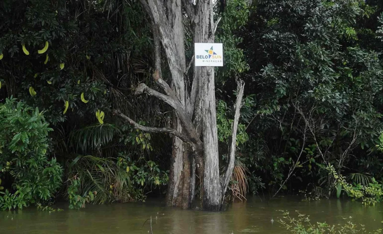 FUNAI pede anulação de licença para Belo Sun explorar ouro no Xingu – ClimaInfo