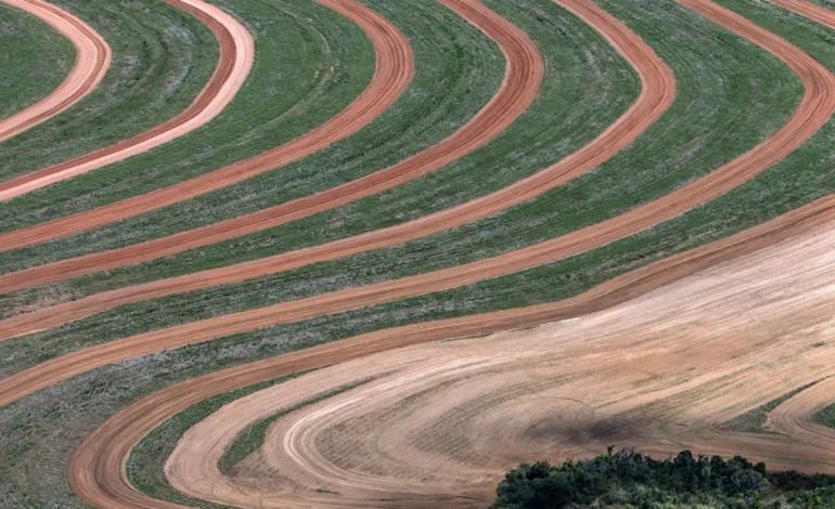 transicao-ecologica-no-brasil-corre-risco-de-reproduzir-desigualdades-–-climainfo