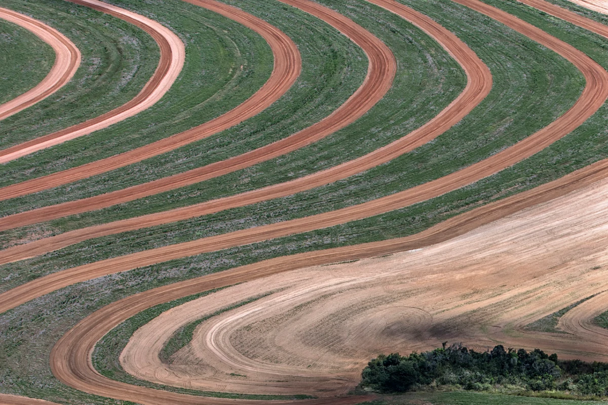 transicao-ecologica-no-brasil-corre-risco-de-reproduzir-desigualdades-–-climainfo