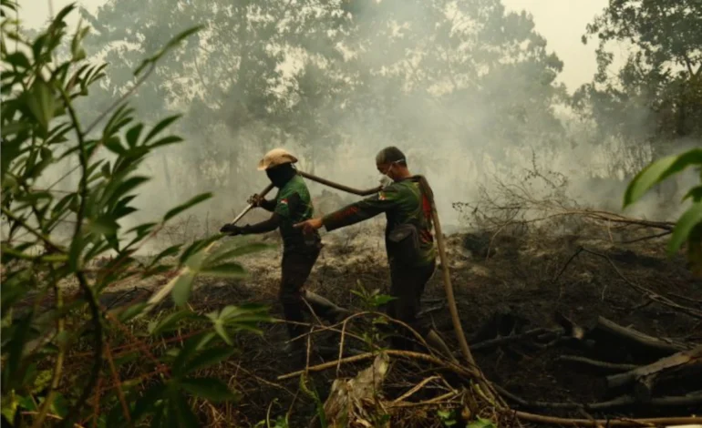 Indonésia inspeciona empresas por possível ligação com incêndios florestais – ClimaInfo